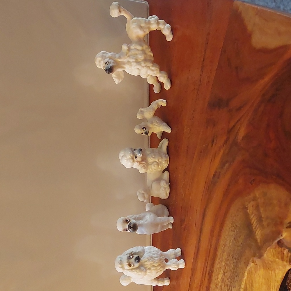 Set of 5 Poodle Miniatures